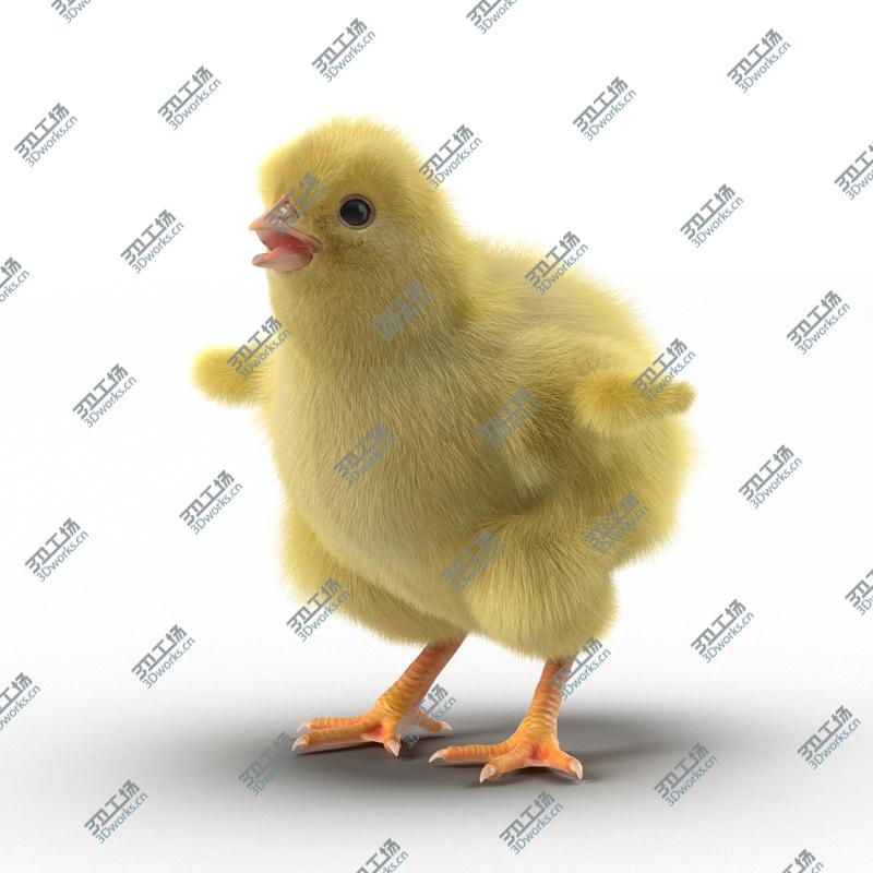 images/goods_img/2021040232/Chick Rigged/3.jpg